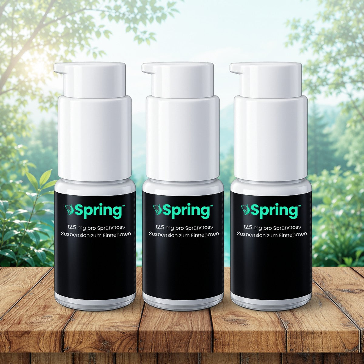 Spring CH