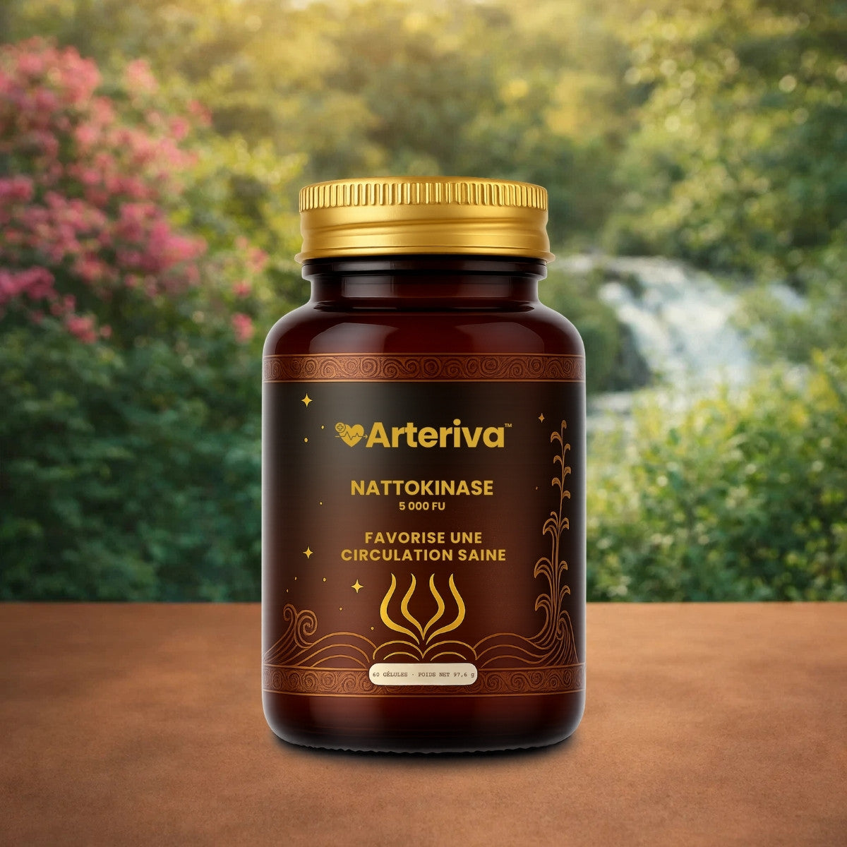 Arteriva FR