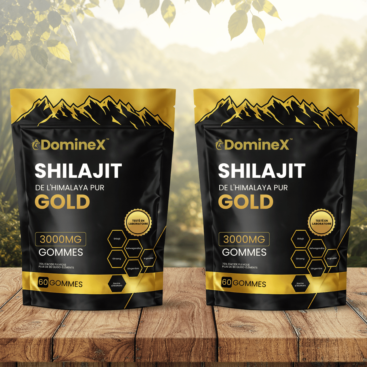 DomineX FR