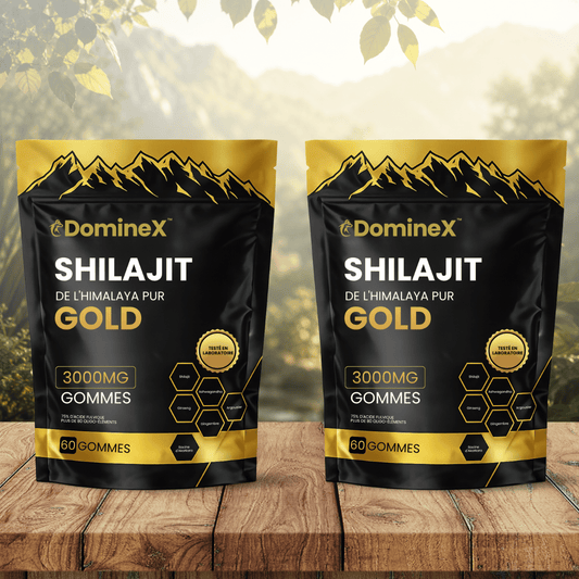 DomineX FR