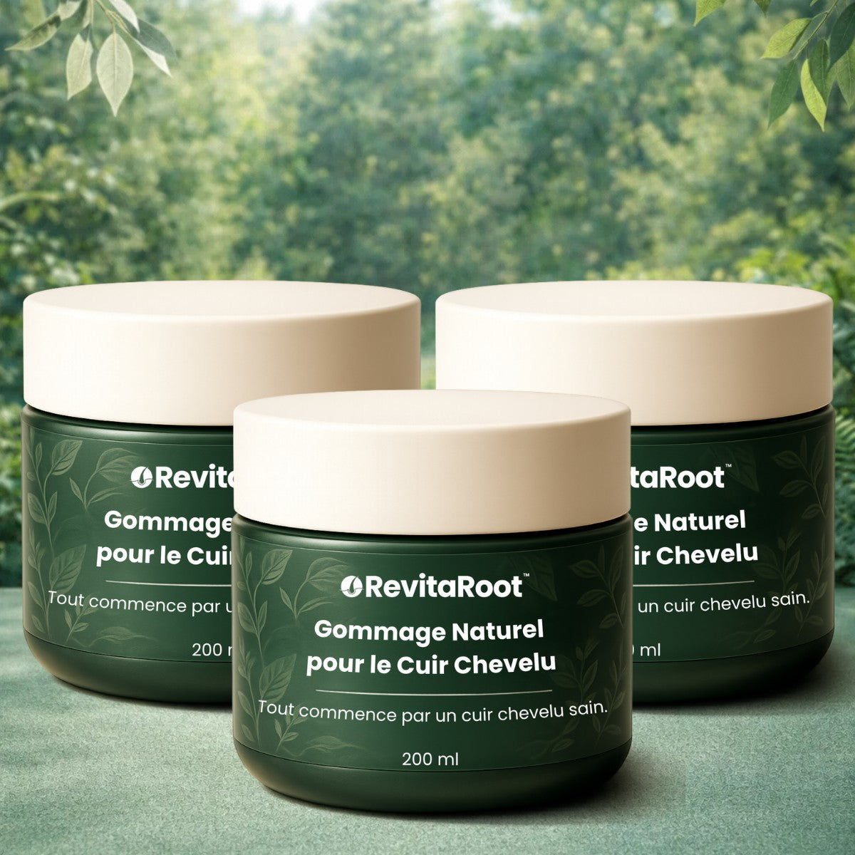 RevitaRoot FR