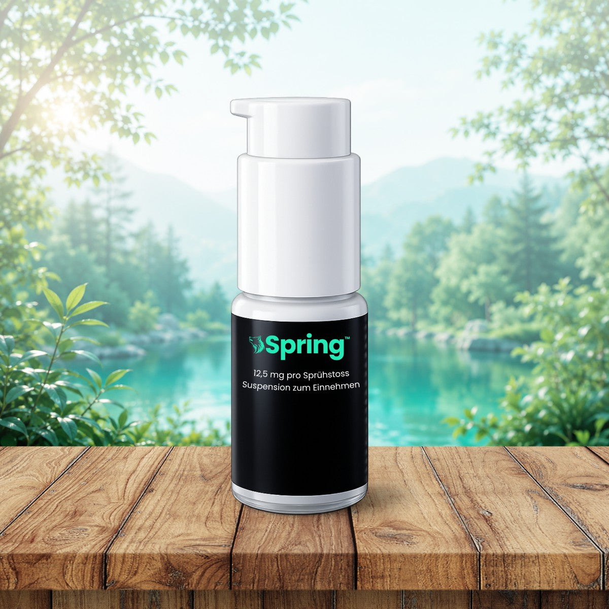 Spring CH