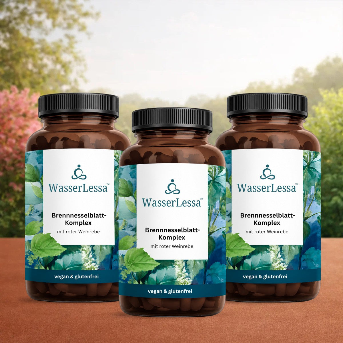 WasserLessa CH